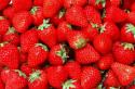 Полуниця: користь ягоди та протипоказання до вживання